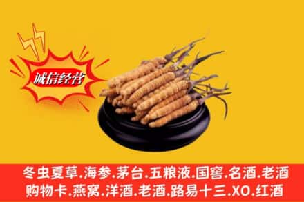 运城市盐湖求购回收虫草多少钱每克